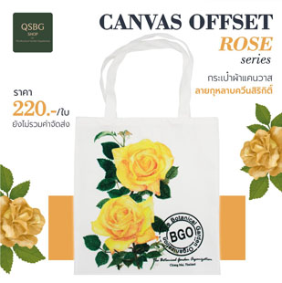 images/อัพเดทสินค้าหน้าเว็บ 15-12-64/กระเป๋าแคนวาส/151537495_838662493380819_5148466725087396847_n.jpg